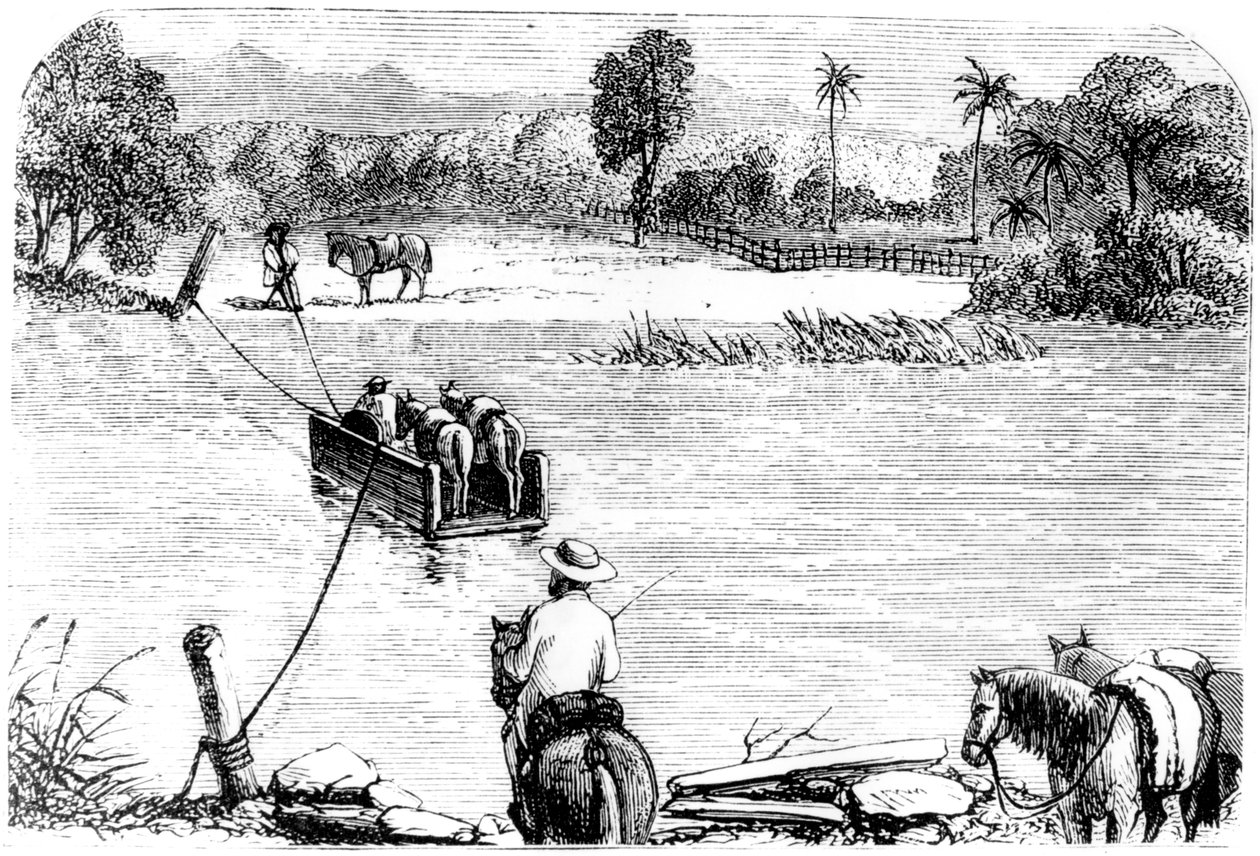 穿越伊莎贝拉，圣多明各，1873年 作者 不明