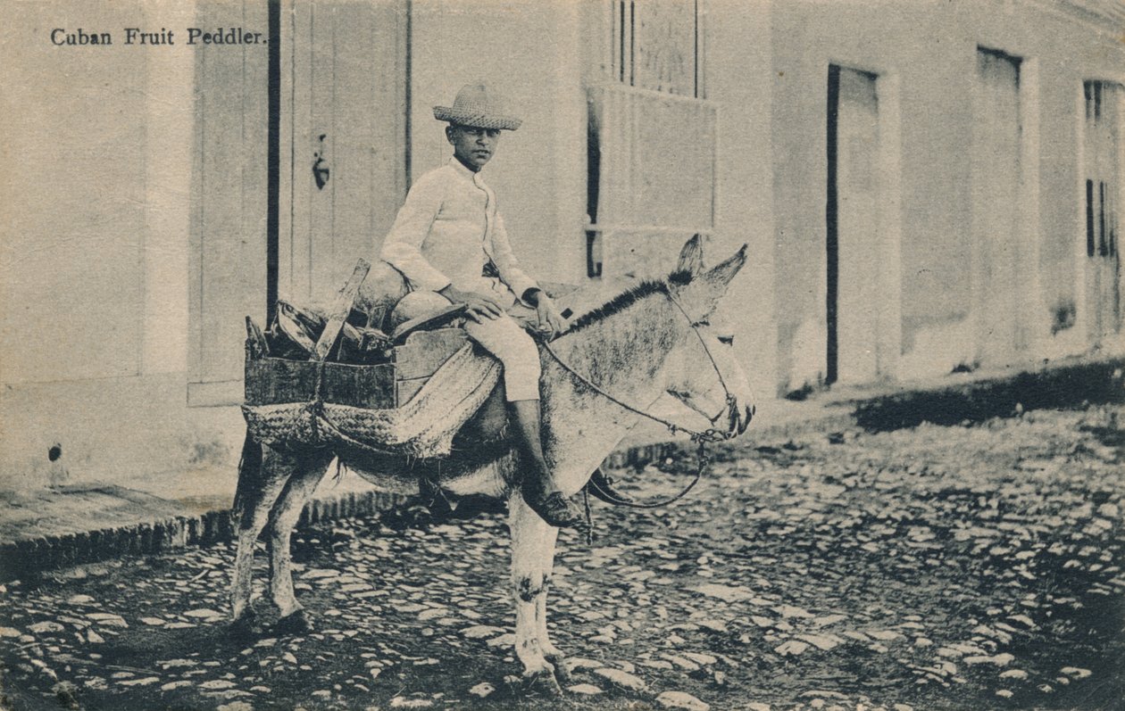 古巴水果小贩，c1908 作者 不明