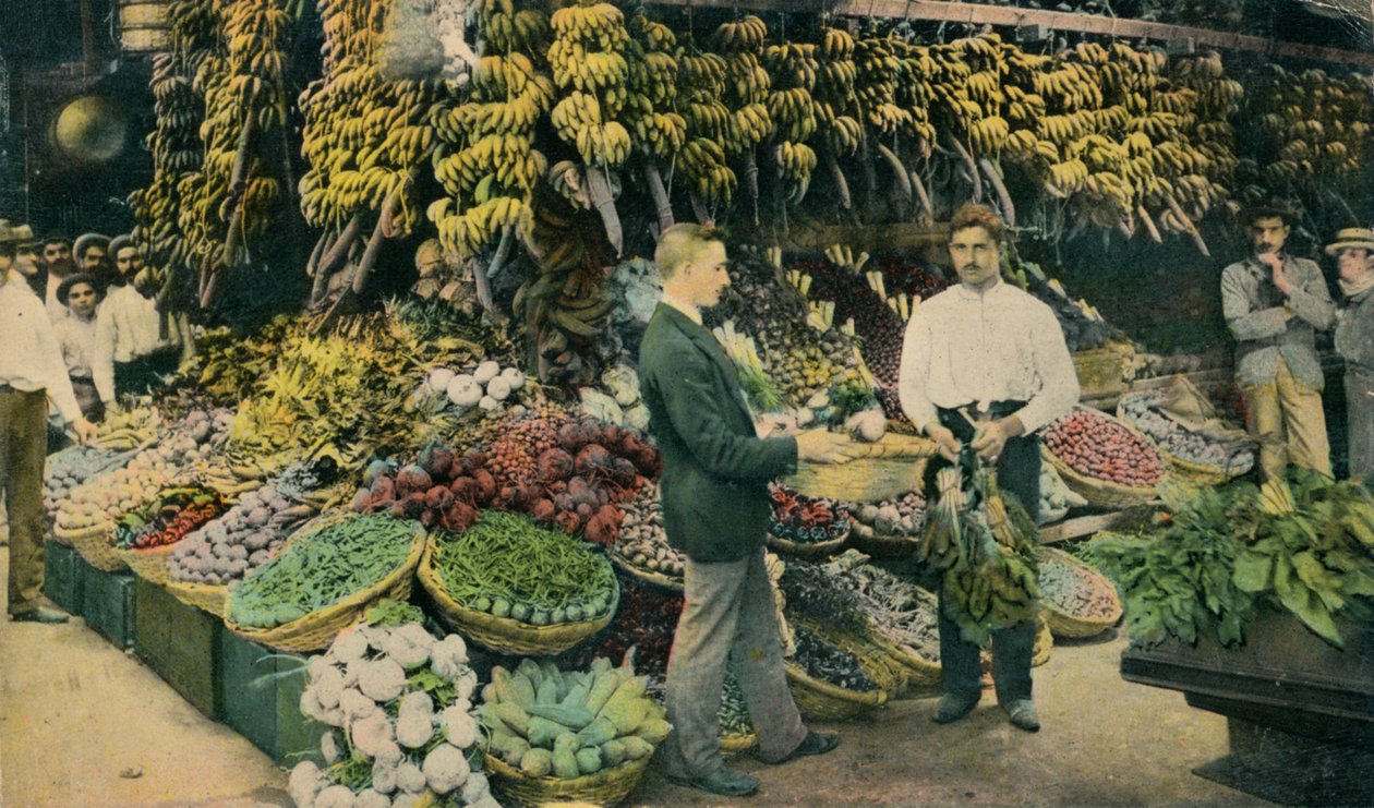 古巴水果店，c1910 作者 不明