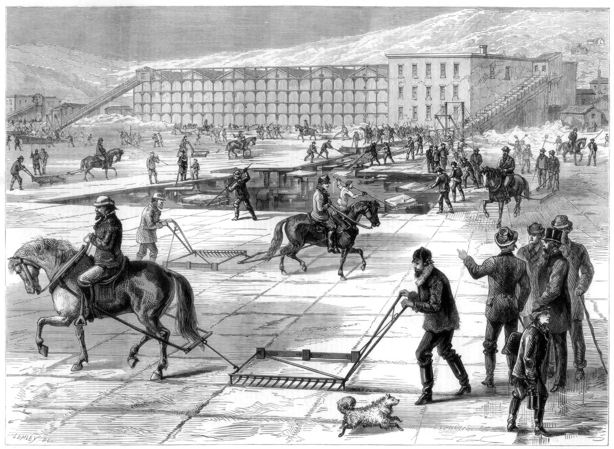1875年在美国纽约哈德逊河上切割和储存冰块 作者 不明
