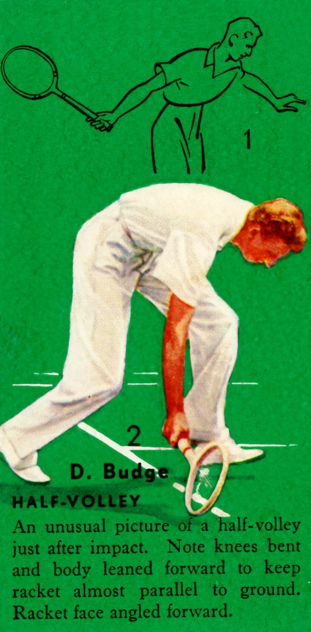 D.巴奇（Budge）-Half-Volley，大约1935年。 作者 不明