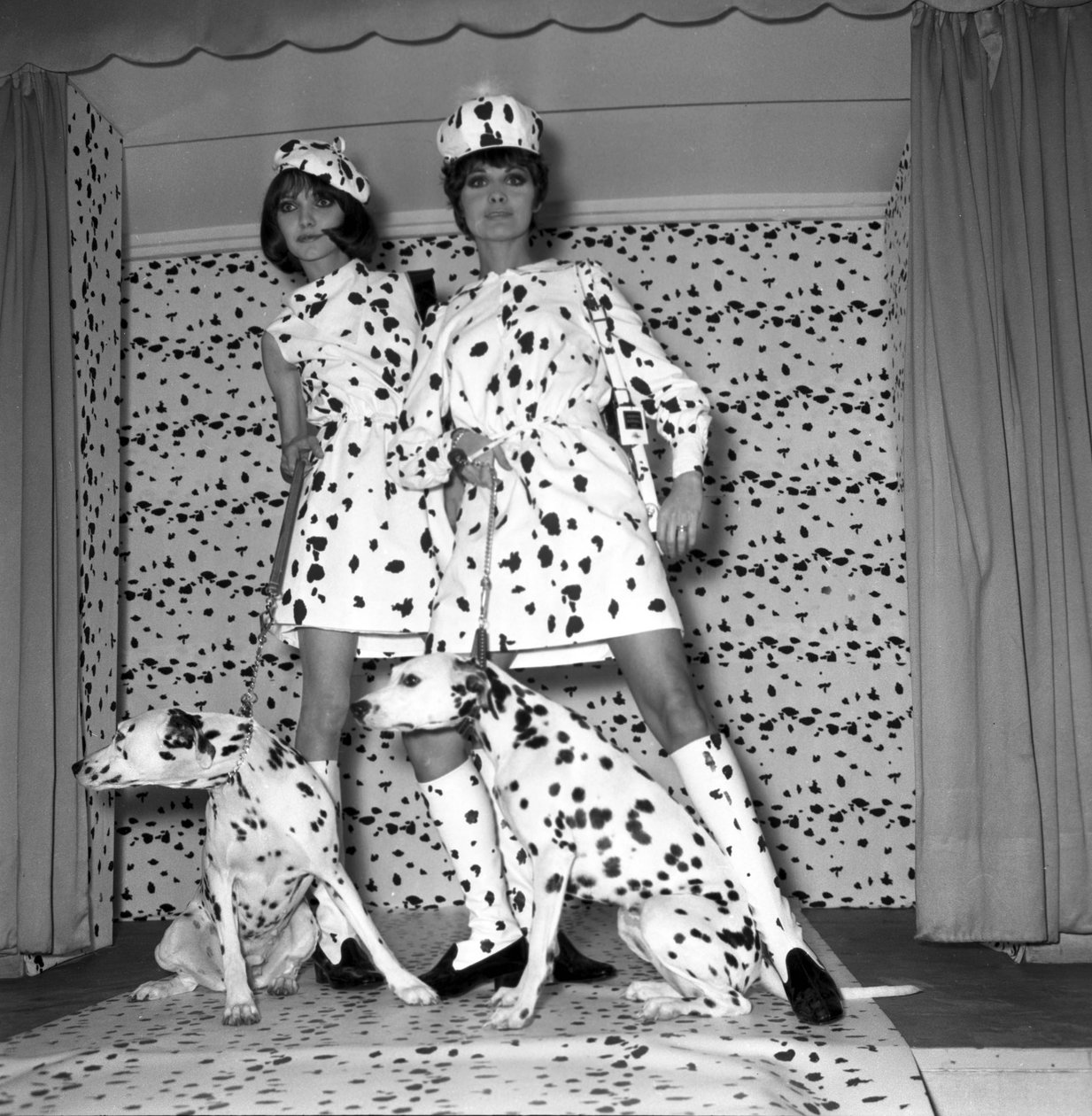 Dalmatian Mode 作者 不明