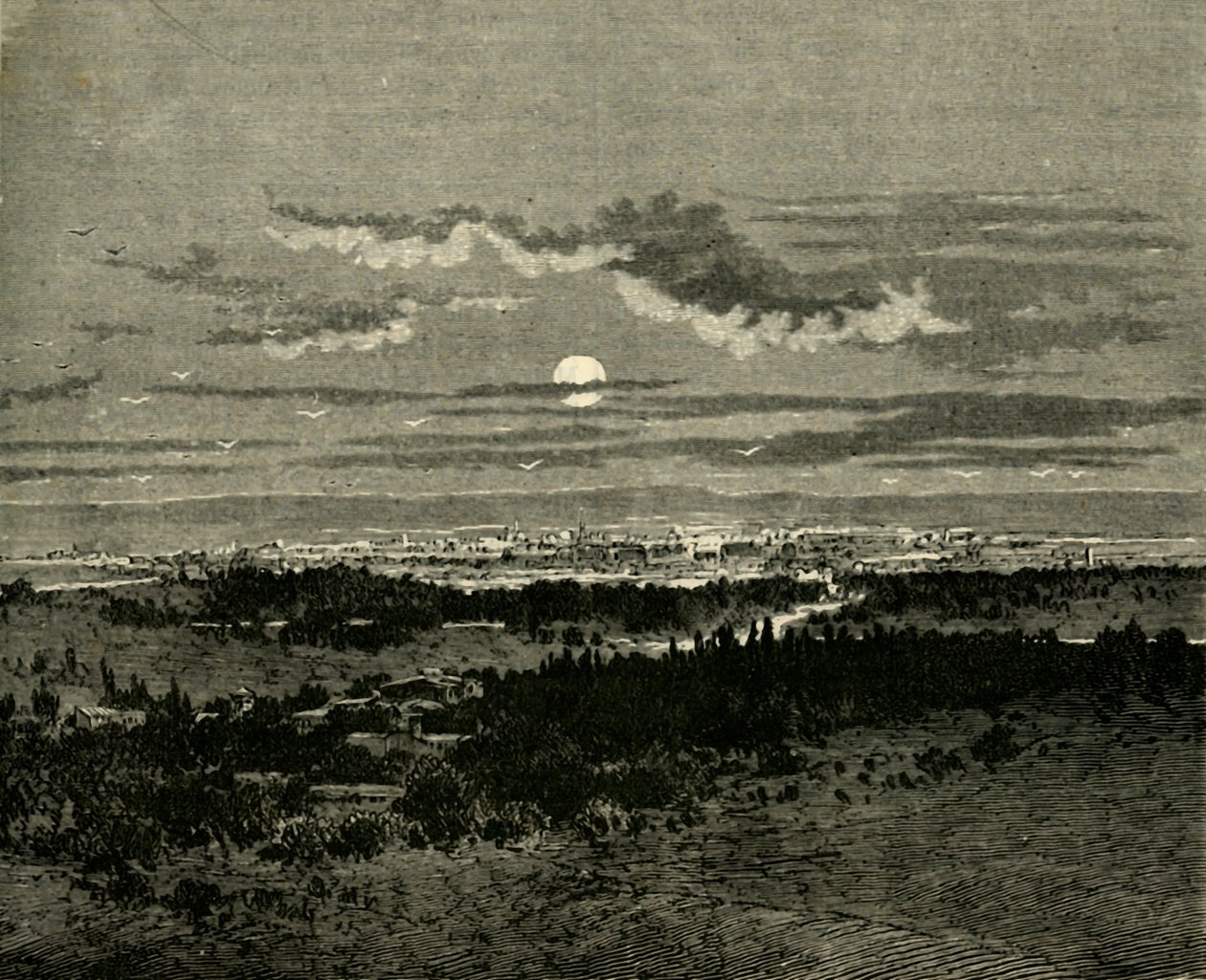 大马士革，1890年。 作者 不明
