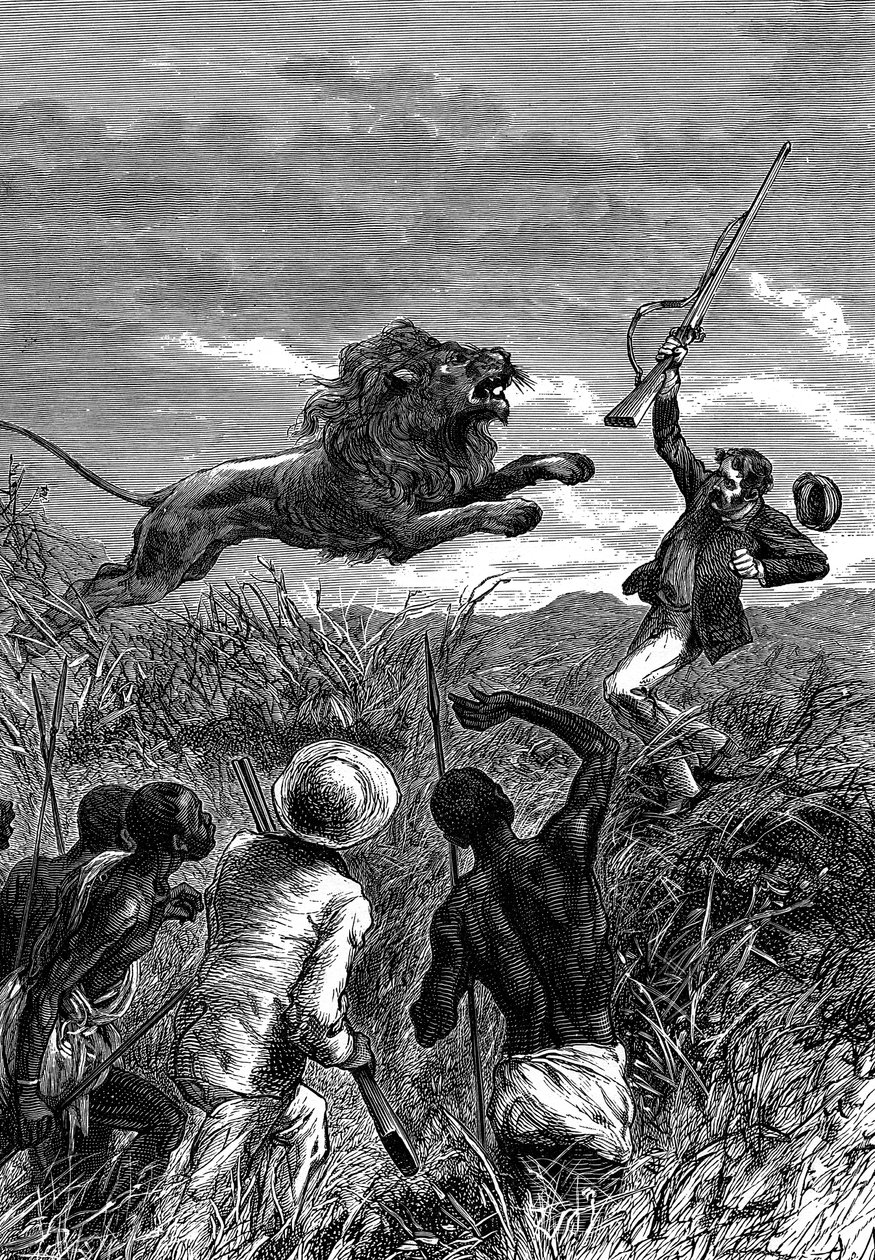 苏格兰传教士兼非洲探险家戴维·利文斯通（David Livingstone）被一头狮子指控，c1860年 作者 不明
