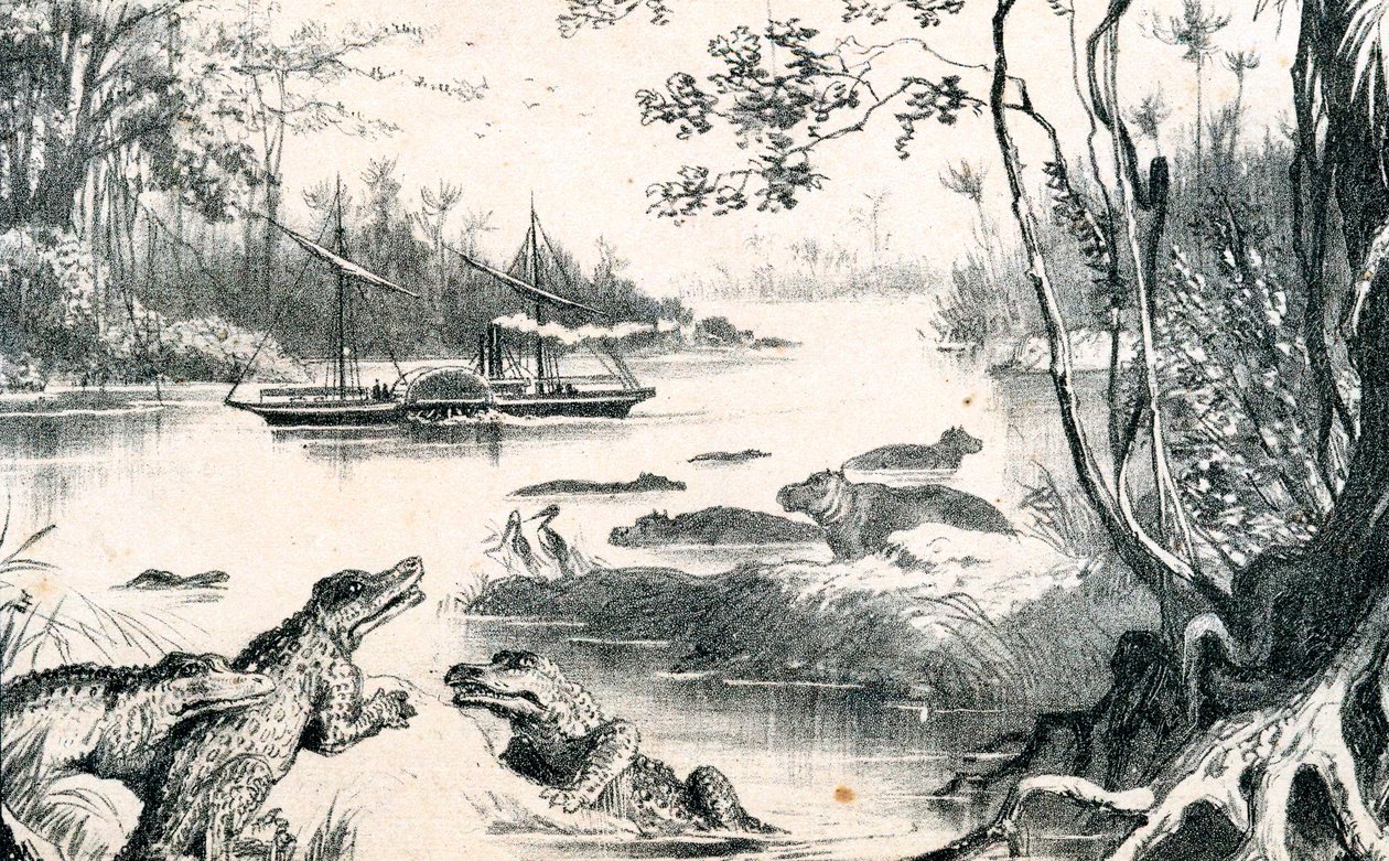 大卫·利文斯通（David Livingstone）在非洲赞比西河航行，1852-1864年c1878 作者 不明