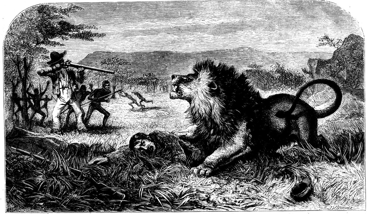 大卫·利文斯通（David Livingstone），由本地校长梅巴尔（Mebalwe）从狮子救下，1857年 作者 不明