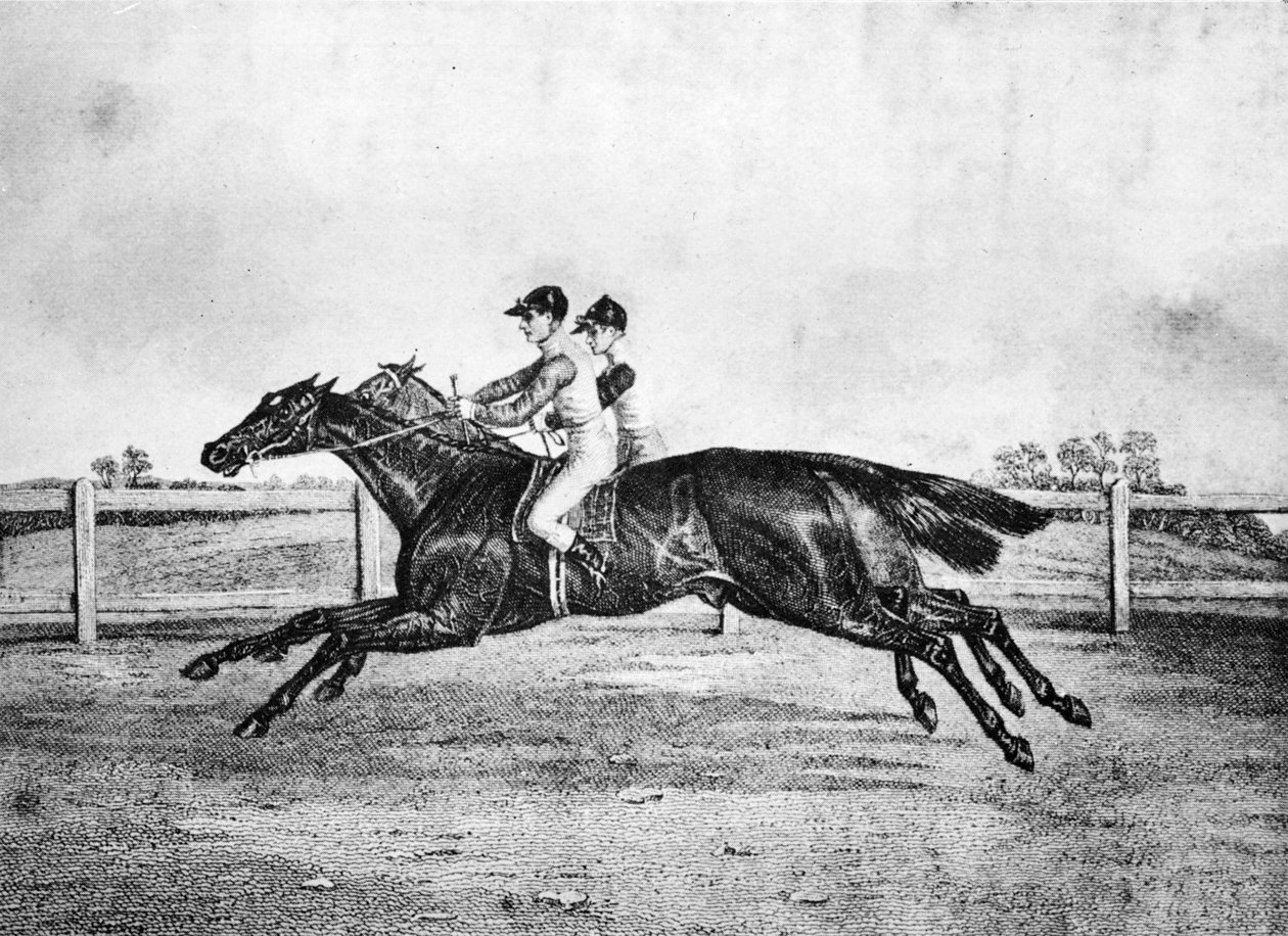 Lanercost和Beeswing之间的狂热，1831年至1850年，1911年 作者 不明