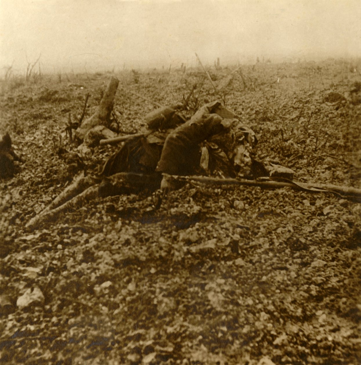 1916年法国北部凡尔登战役后，在304山丘上阵亡的士兵 作者 不明