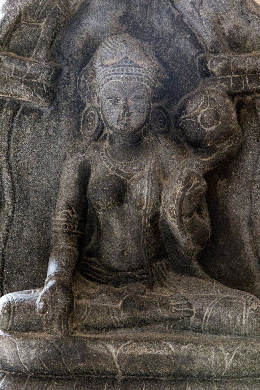Delhi national museum. Gaja-Lakshmi (elephants showering water on goddess Lakshmi). Pala, 9th century A.D. Bihar. Stone. Detail. India. 作者 不明