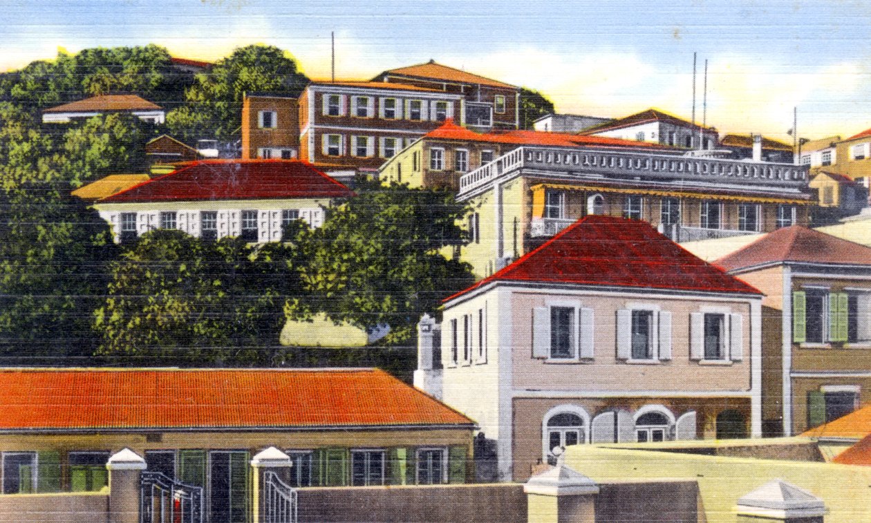 丹麦山，夏洛特阿马利亚，圣托马斯，维尔京群岛，c1900年代 作者 不明