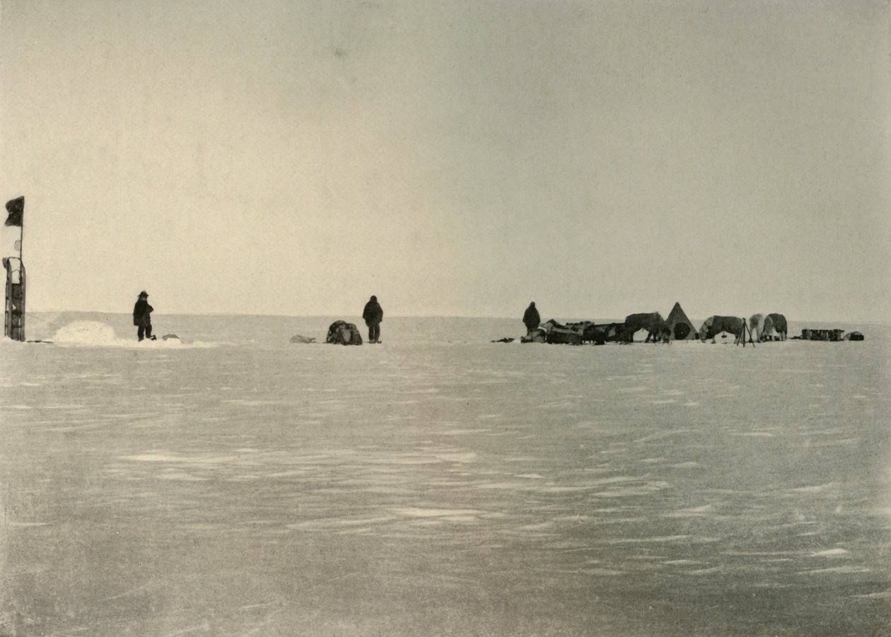 A仓库，1908年，1909年春季布置。 作者 不明