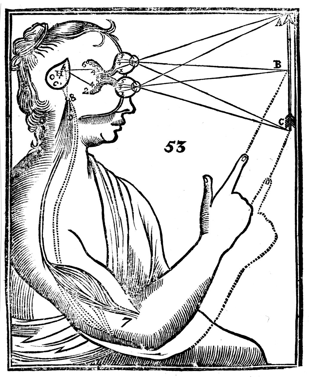笛卡尔的视觉观念，1692年 作者 不明