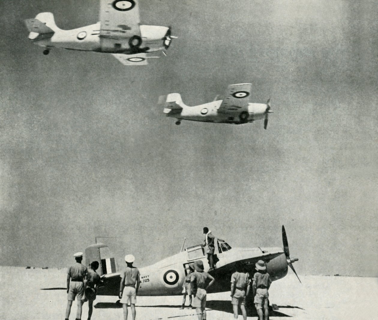 沙漠中队-第二次世界大战期间舰队空军的飞机，c1943。 作者 不明