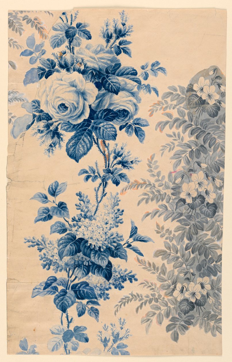 花布或墙纸设计，1880–90年 作者 不明