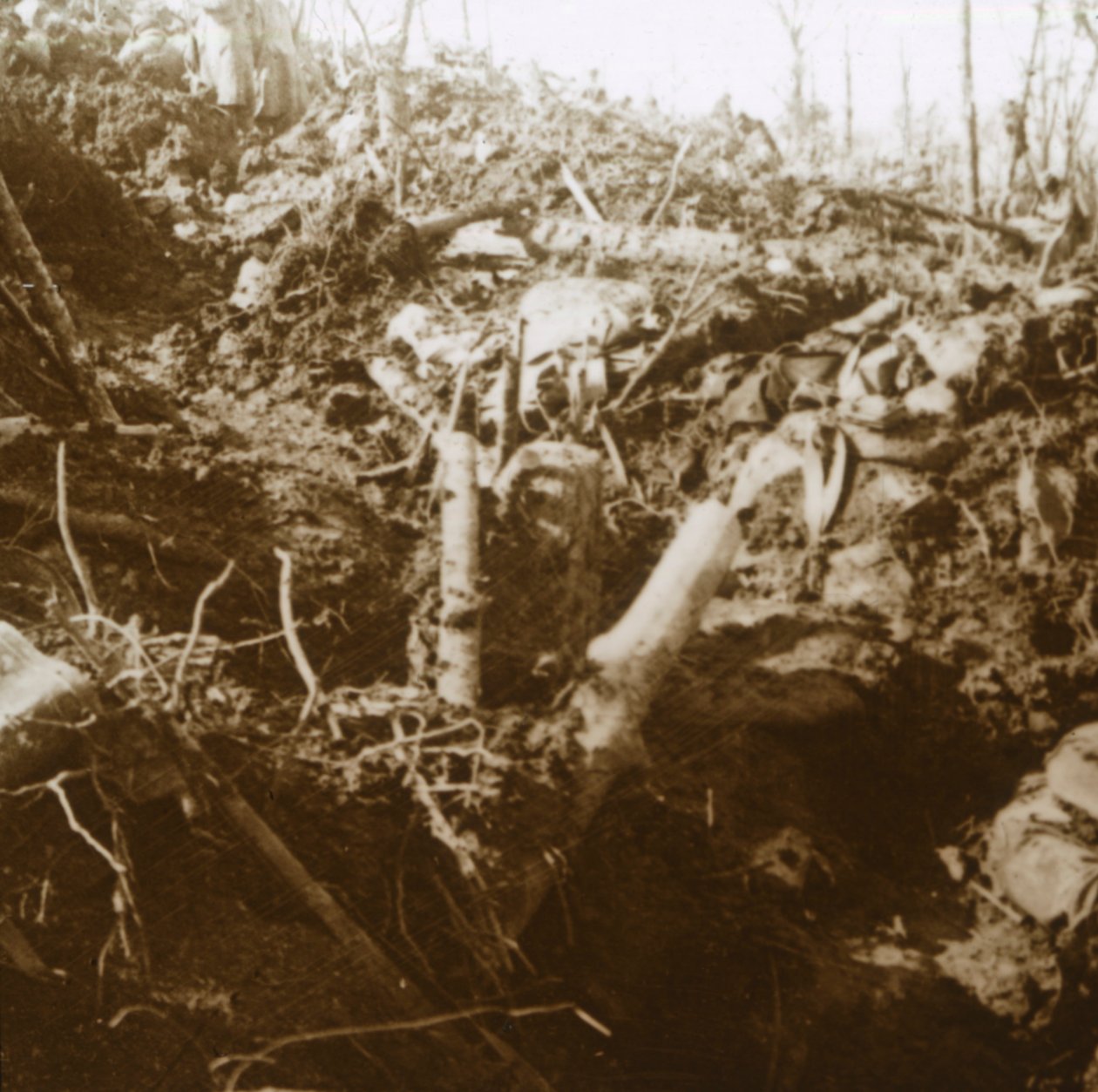 1915年，法国北部列斯·帕热斯（LesÉparges）被毁的住所。 作者 不明