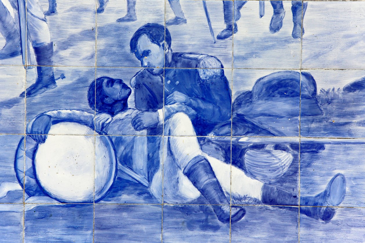 Detail of a mosaic depicting Brazil