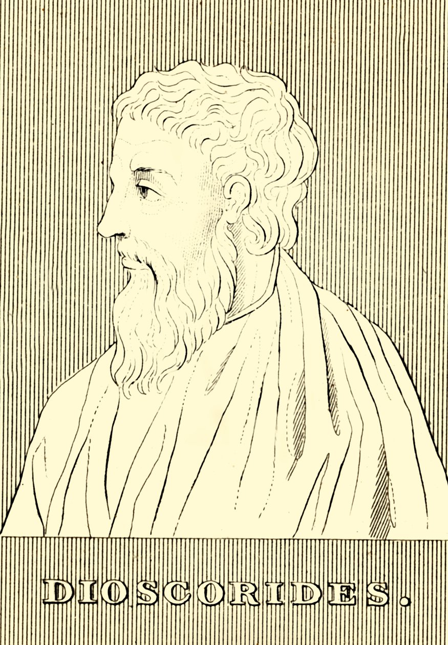 Dioscorides，c40-90 AD，1830。 作者 不明