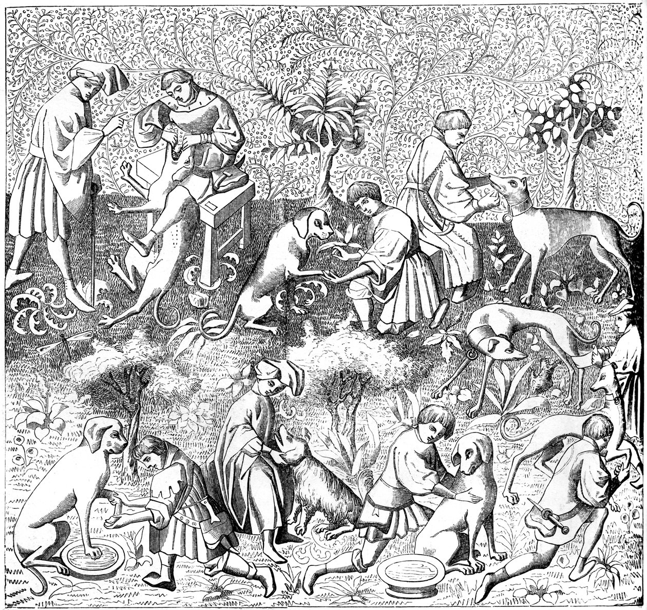 狗的疾病及其治疗方法，14世纪，1849年 作者 不明