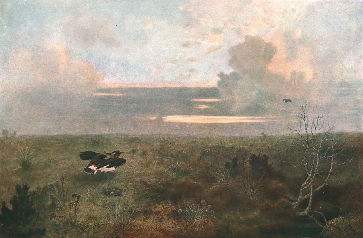 烦恼：从巢里升起的小鸟，1879年，c1902。 作者 不明