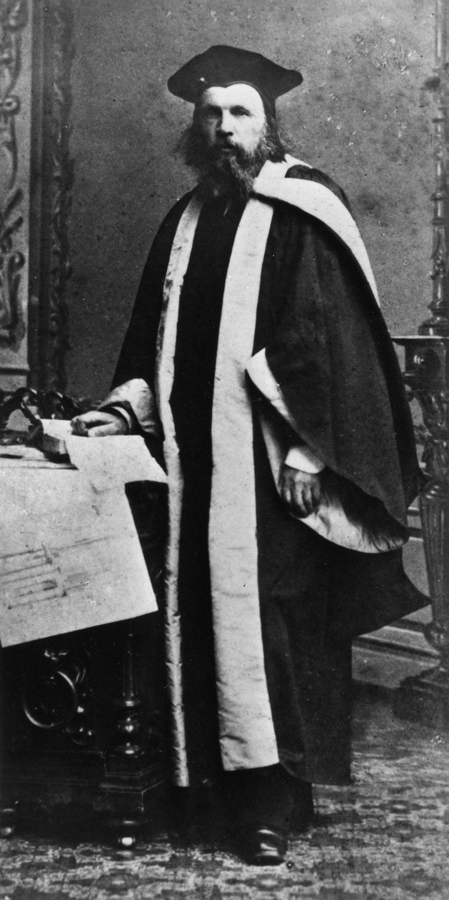 Dmitry Ivanovich Mendeleyev，俄罗斯化学家，约1860年代 作者 不明