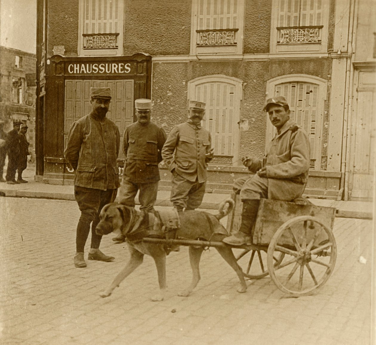 狗推车，法国，c1914-c1918 作者 不明
