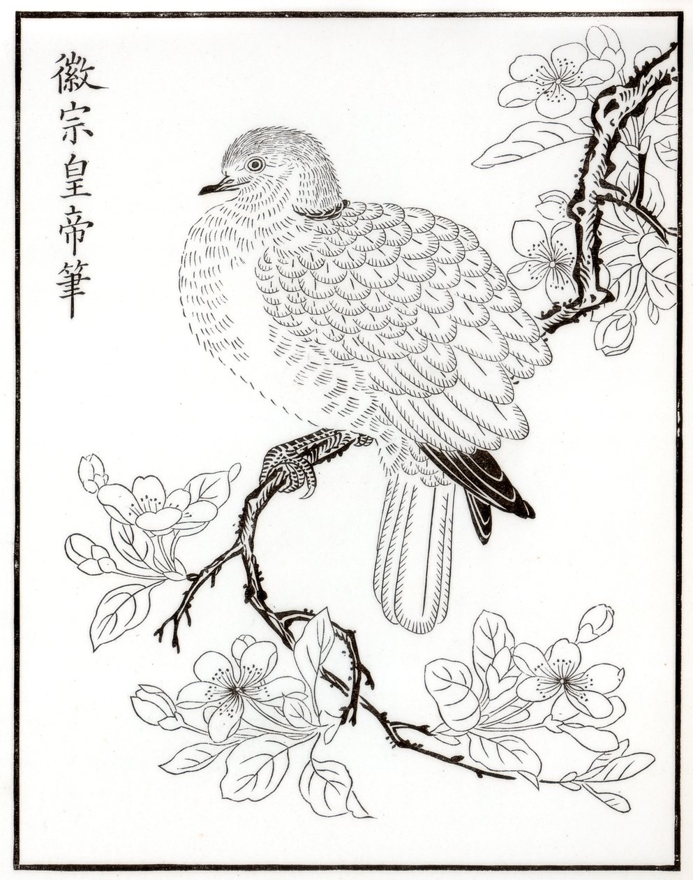 哪里，1886年 作者 不明