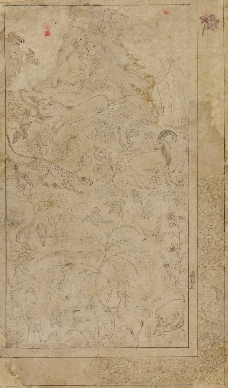 动物和植物的绘画，17世纪初。 作者 不明