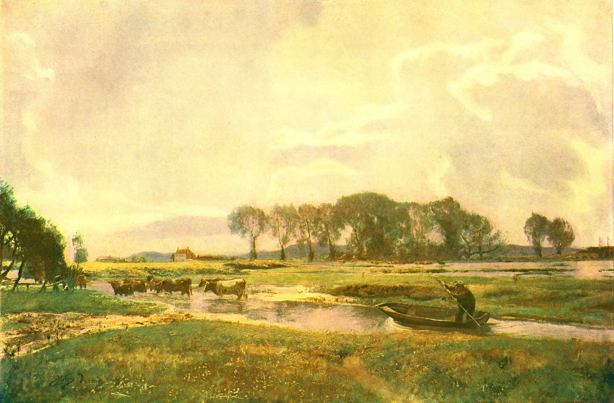 驾驶母牛，汉普郡，1892年，c1902。 作者 不明