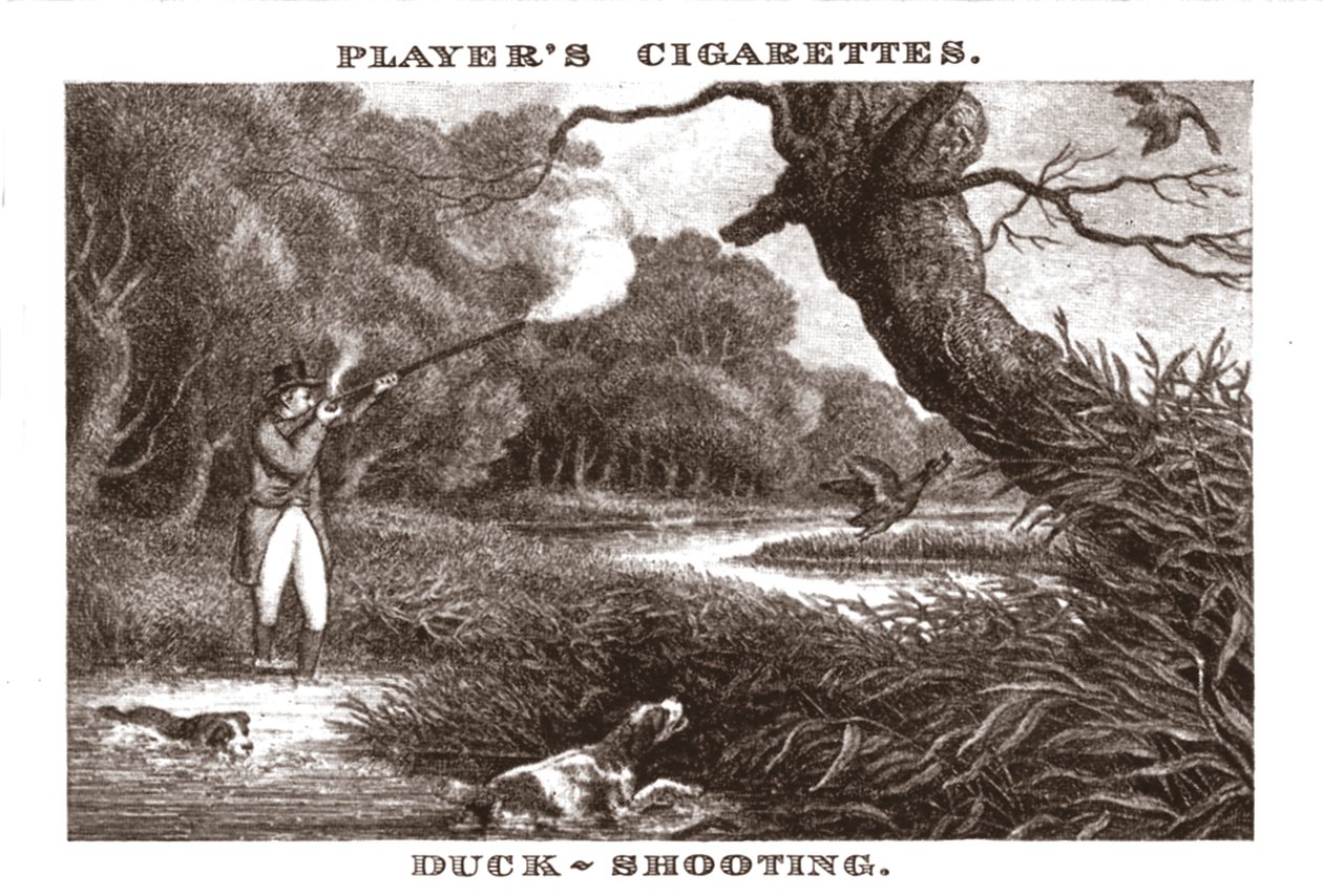 Duck-Shooting，1924年。 作者 不明