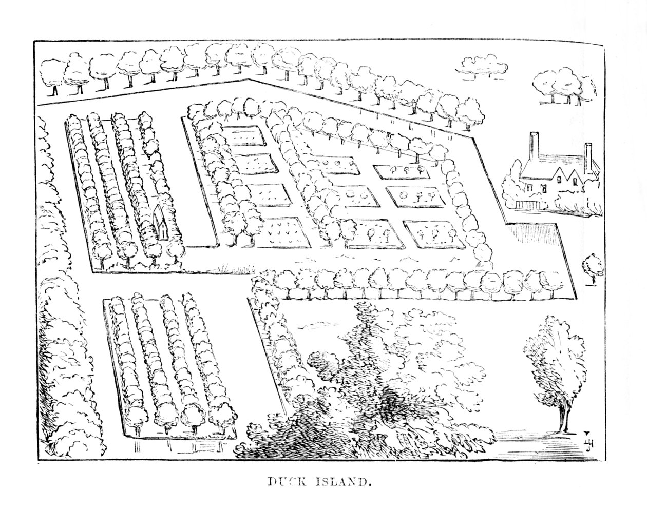 鸭岛，c1870年 作者 不明