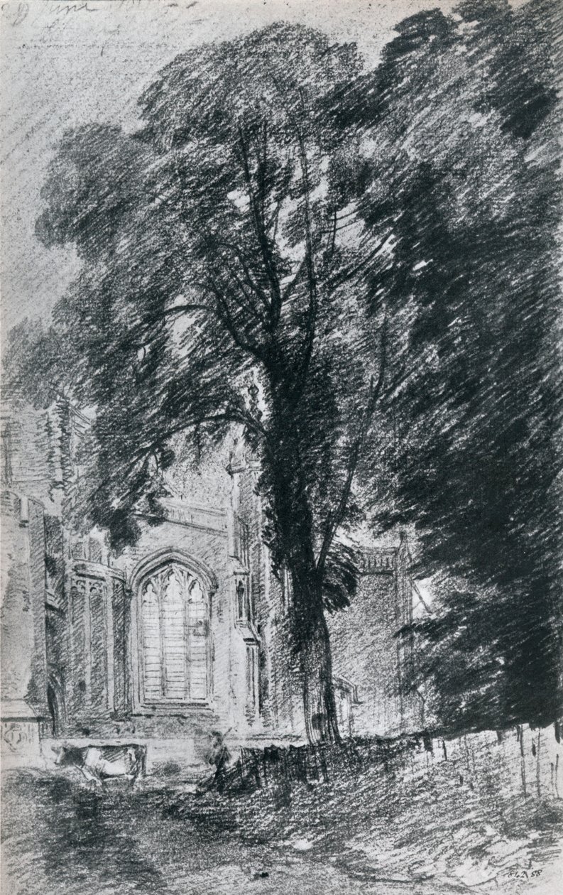 东伯格霍尔特教堂（East Bergholt Church）：1812年，1925年，在一群榆树之外看到的西端部分 作者 不明