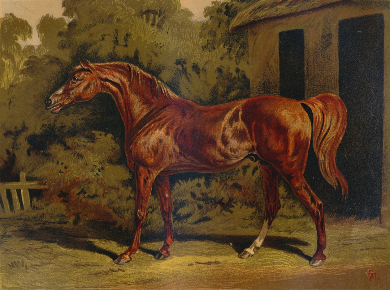 Eclipse，c1879。 作者 不明