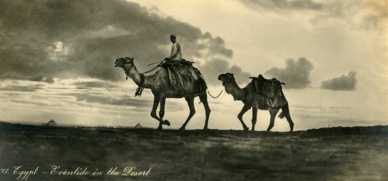 埃及-沙漠中的黄昏，c1918-c1939。 作者 不明