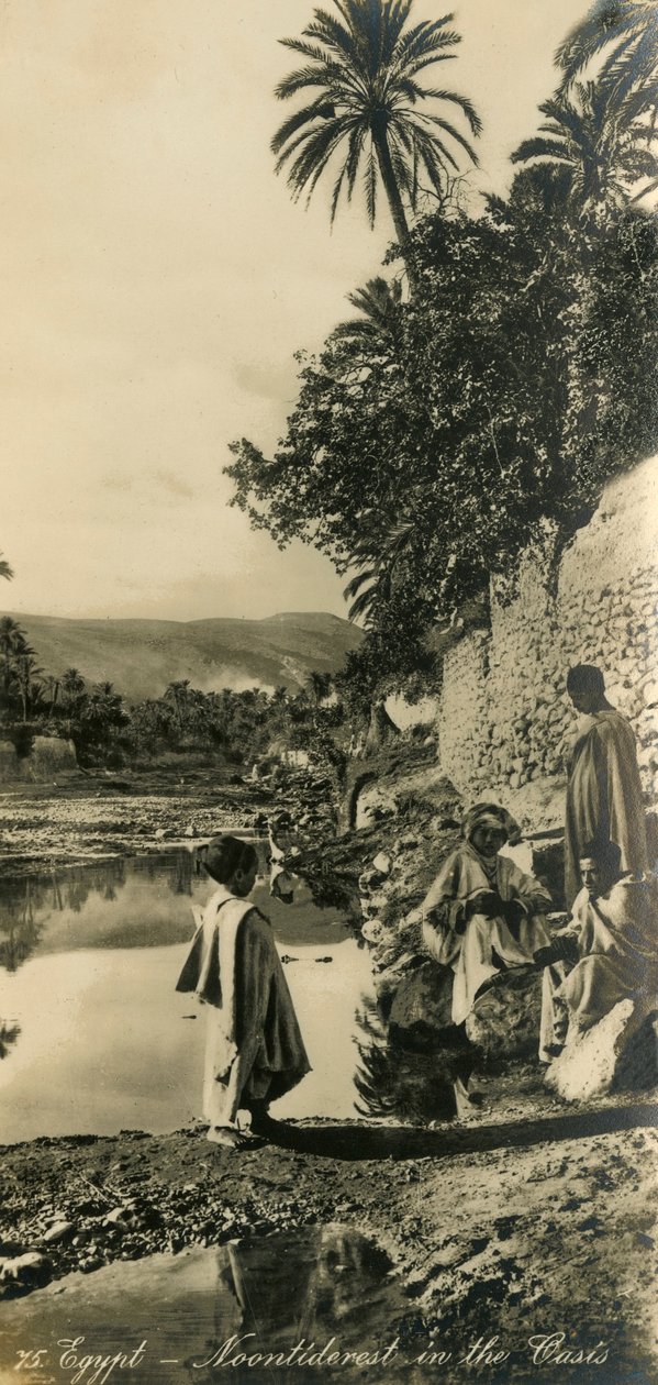 埃及-绿洲的Noontiderest，c1918-c1939。 作者 不明