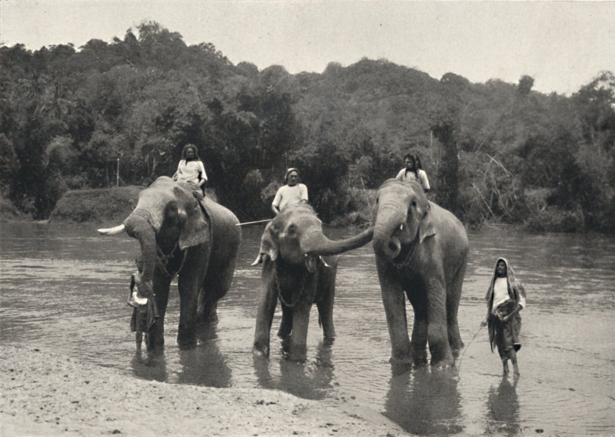 大象在洗澡Mahaaliganga，1926年 作者 不明