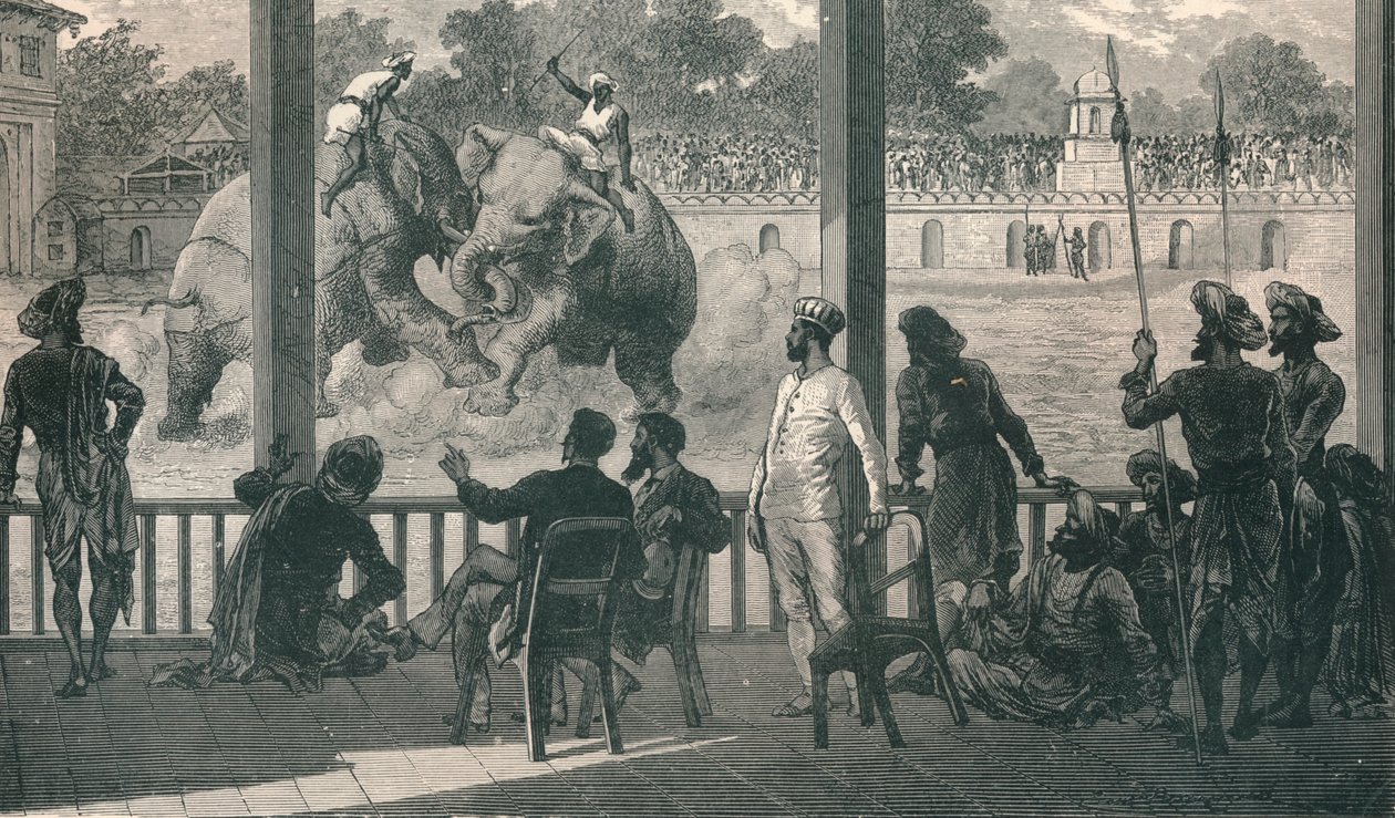 1896年在巴罗达的大象大战 作者 不明