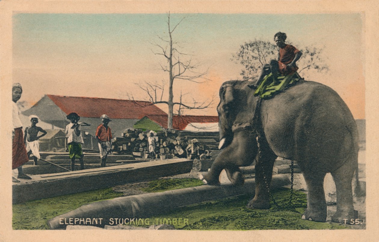 大象St积木材，c1900 作者 不明