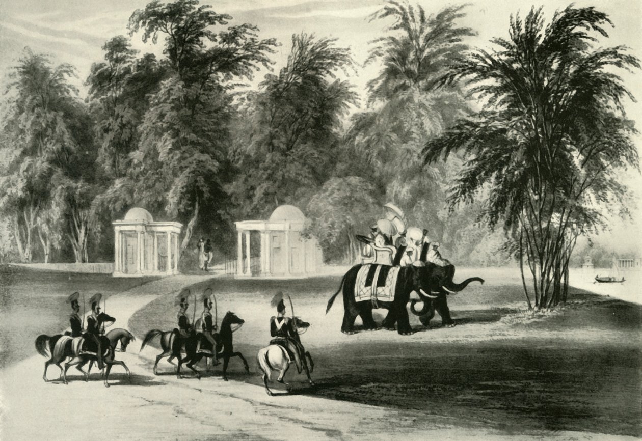 大象和护卫队（Barrackpore Park），1820年，1925年。 作者 不明