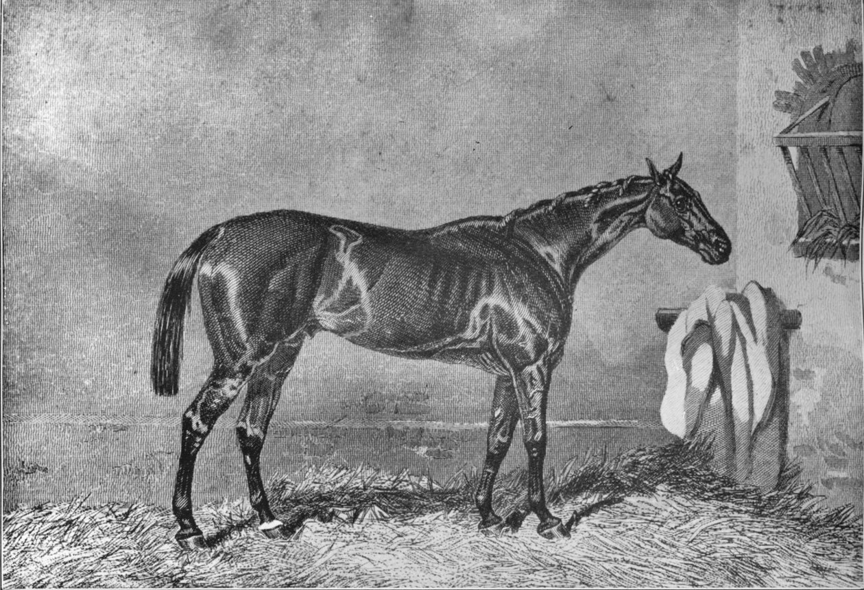 埃灵顿（Ellington），1853-1870年，1911年 作者 不明