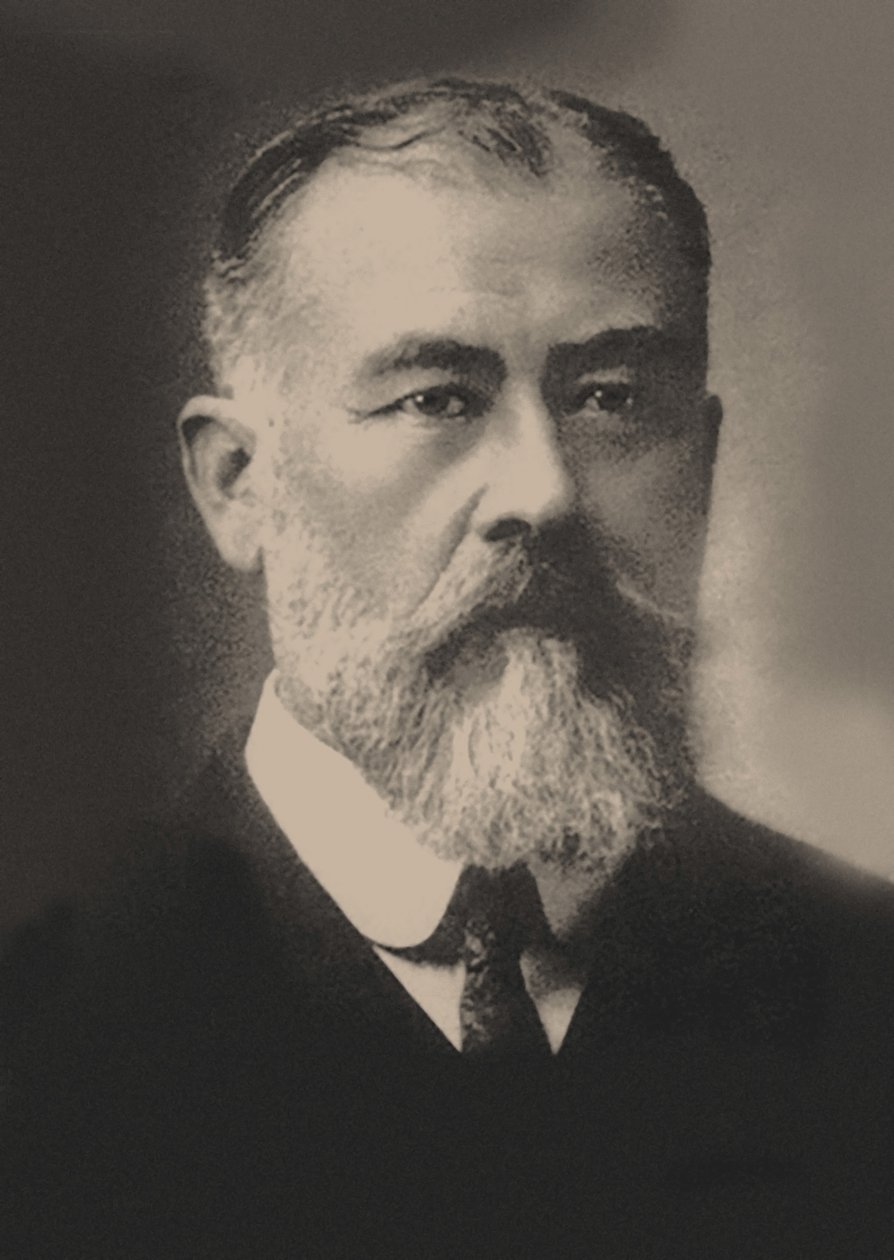 埃尔文-冯-贝尔茨 1849-1913。 作者 不明