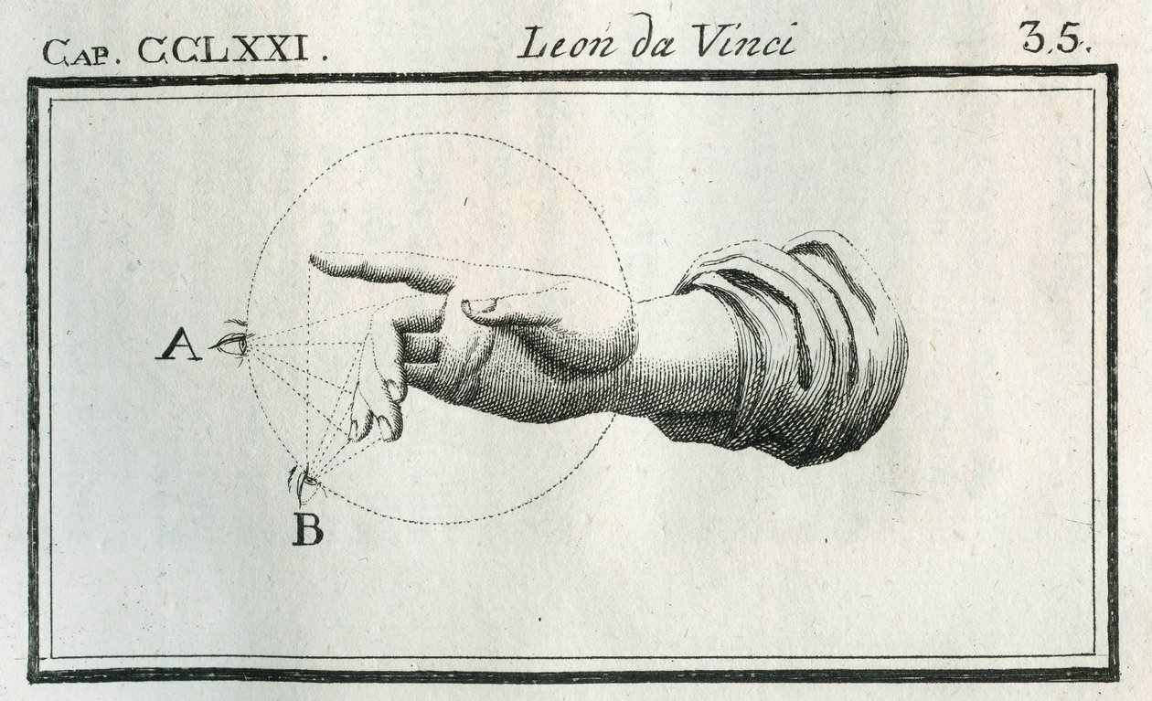 Etude sulla percezione delle dita di una mano in movimento. Engraving from “” Treat of Painting”” by Leonardo da Vinci (Leonard de Vinci) (1452-1519). “” Trattato della pittura di Lionardo da Vinci,””” Milano, Societa tipografica 作者 不明