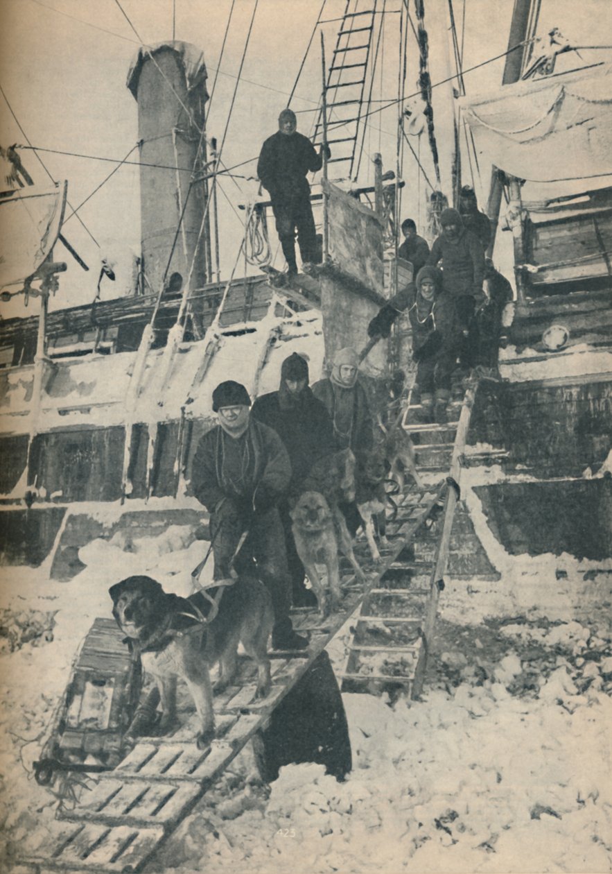 锻炼狗，1936年 作者 不明