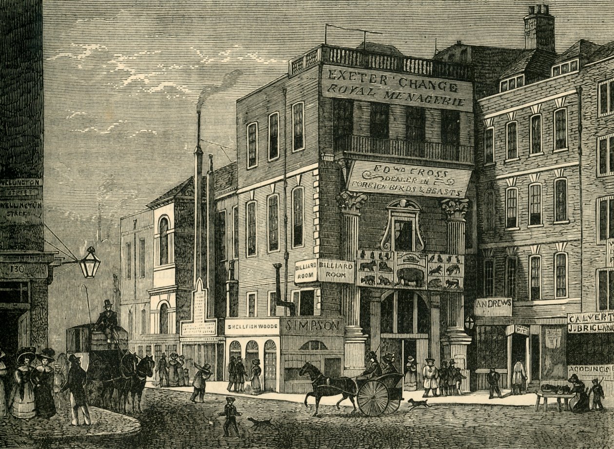1826年（1881年）的埃克塞特（Exeter）变化。 作者 不明