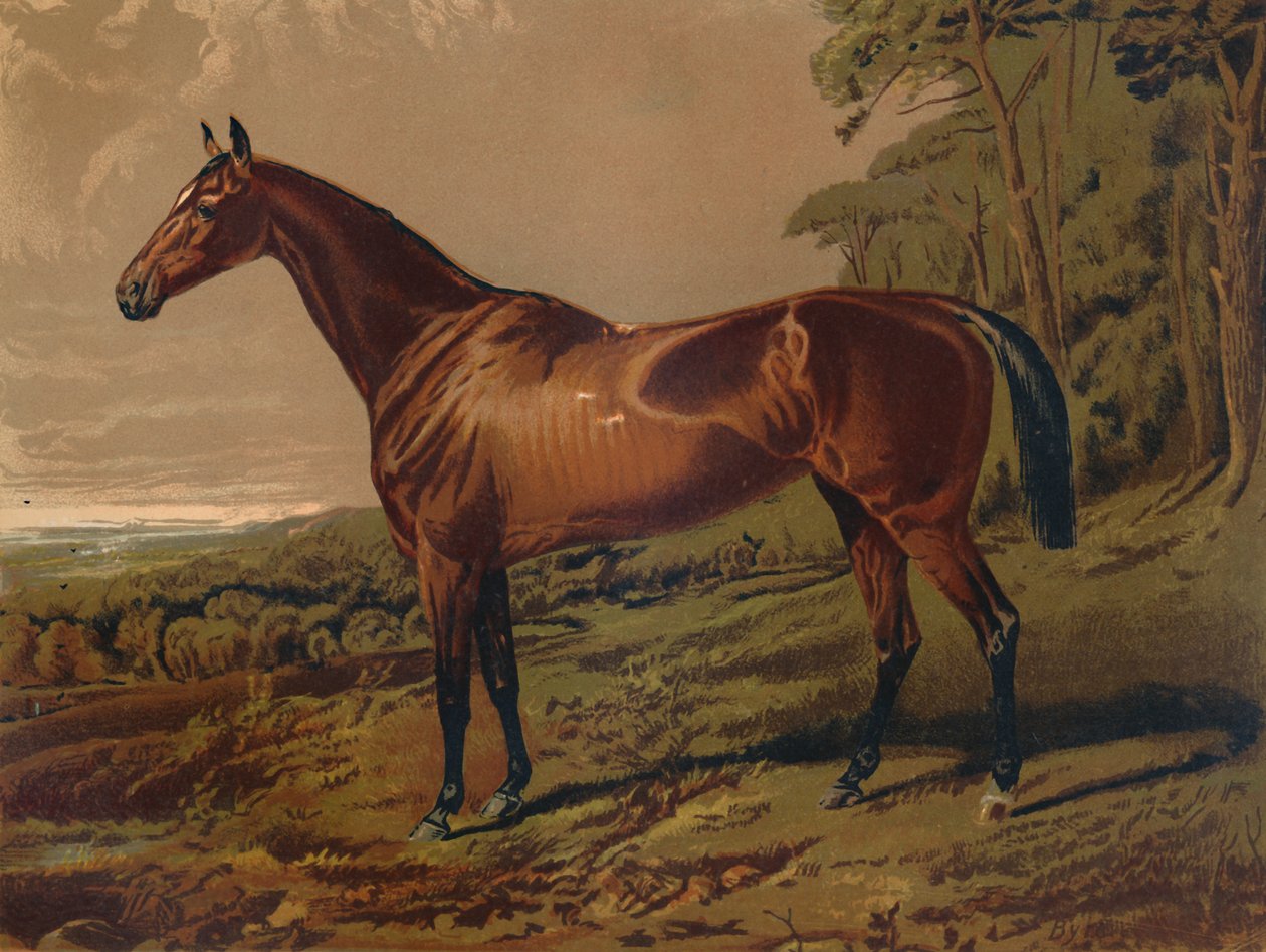 Fair Nell，约1879年。 作者 不明