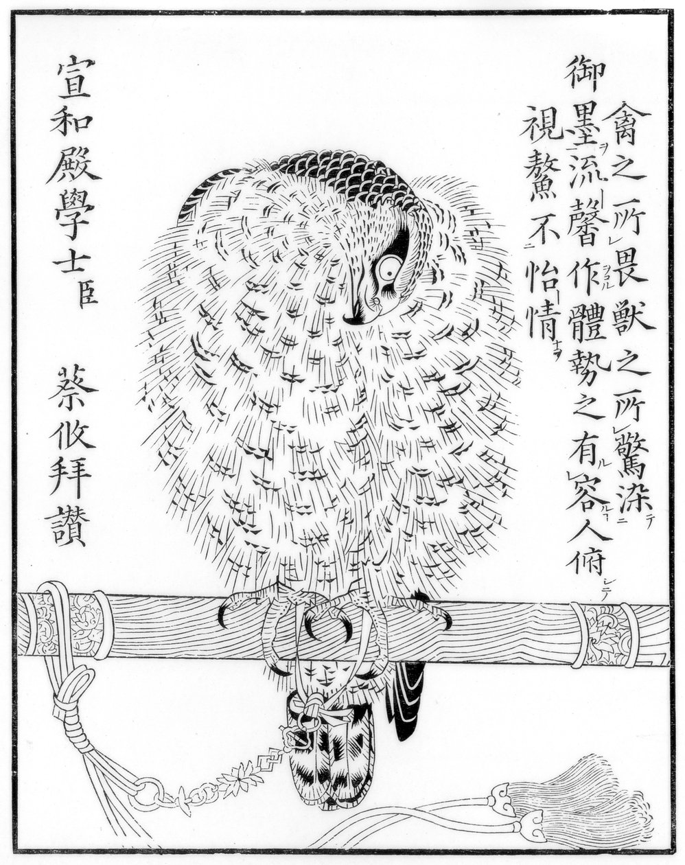 猎鹰，1886年 作者 不明