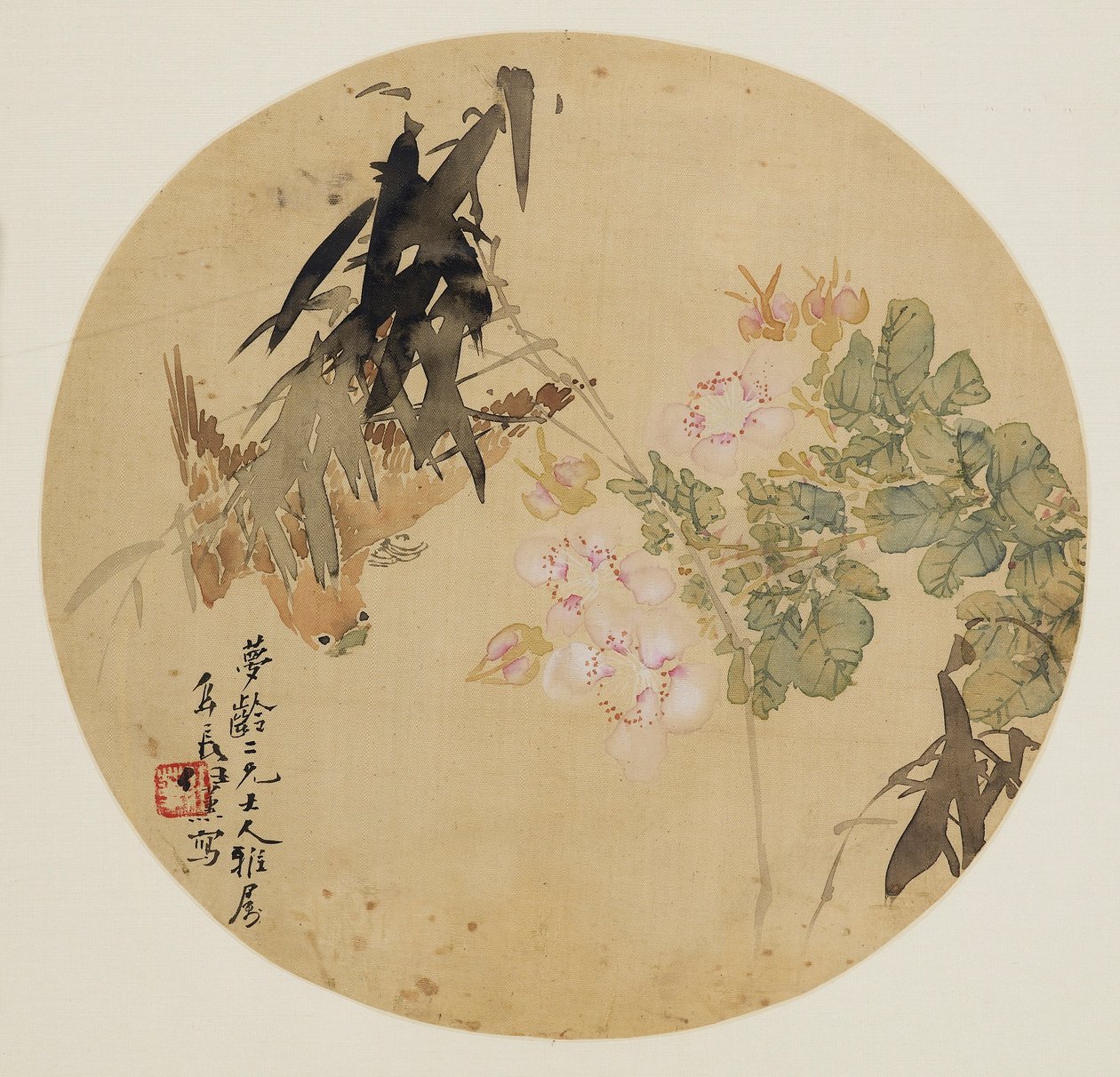 扇面画--花鸟，19世纪 1801-1900年 作者 不明