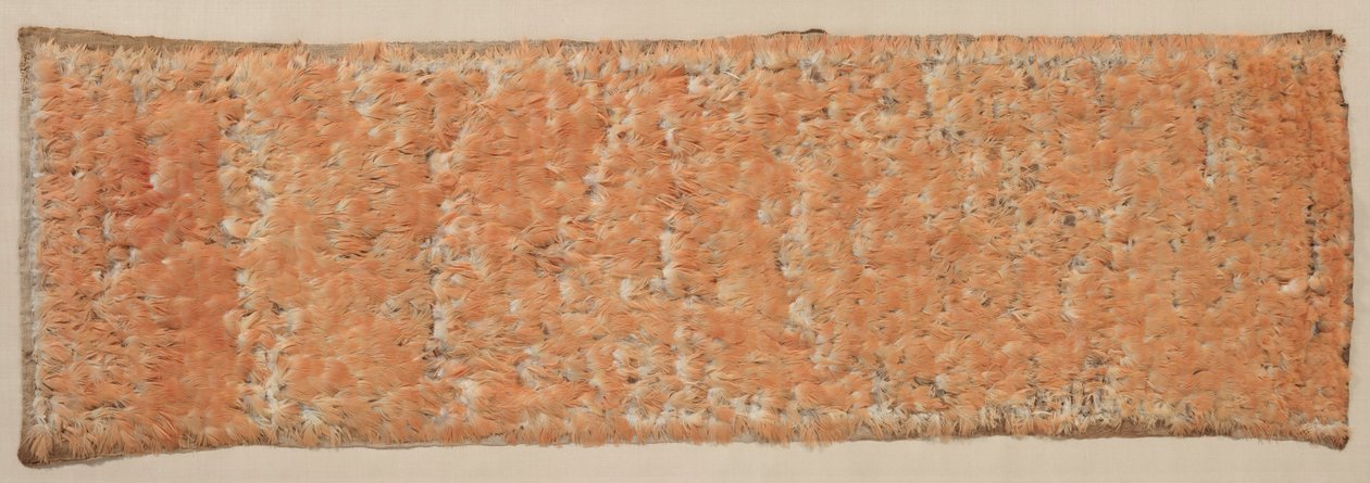 羽毛板，600-1500。 作者 不明