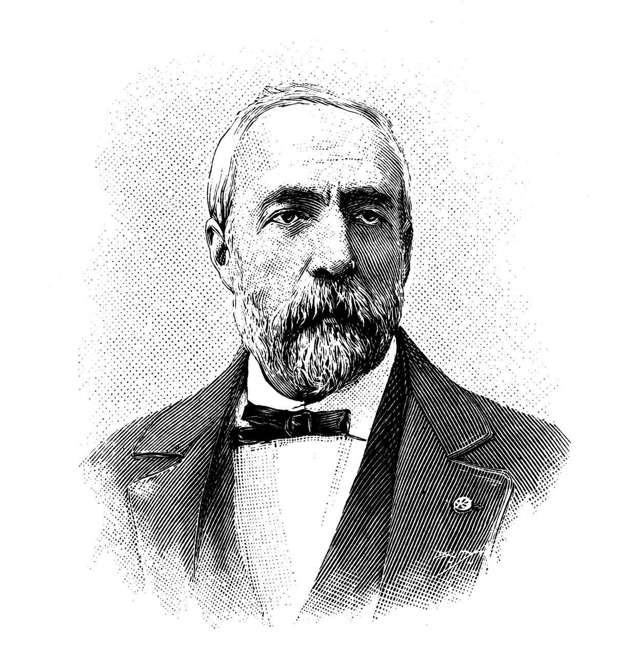 Ferdinand Fouque，法国地质学家和岩石学家，1904年。 作者 不明