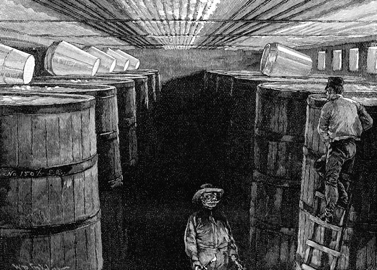 1885年，在一家美国啤酒厂中发酵酒窖 作者 不明