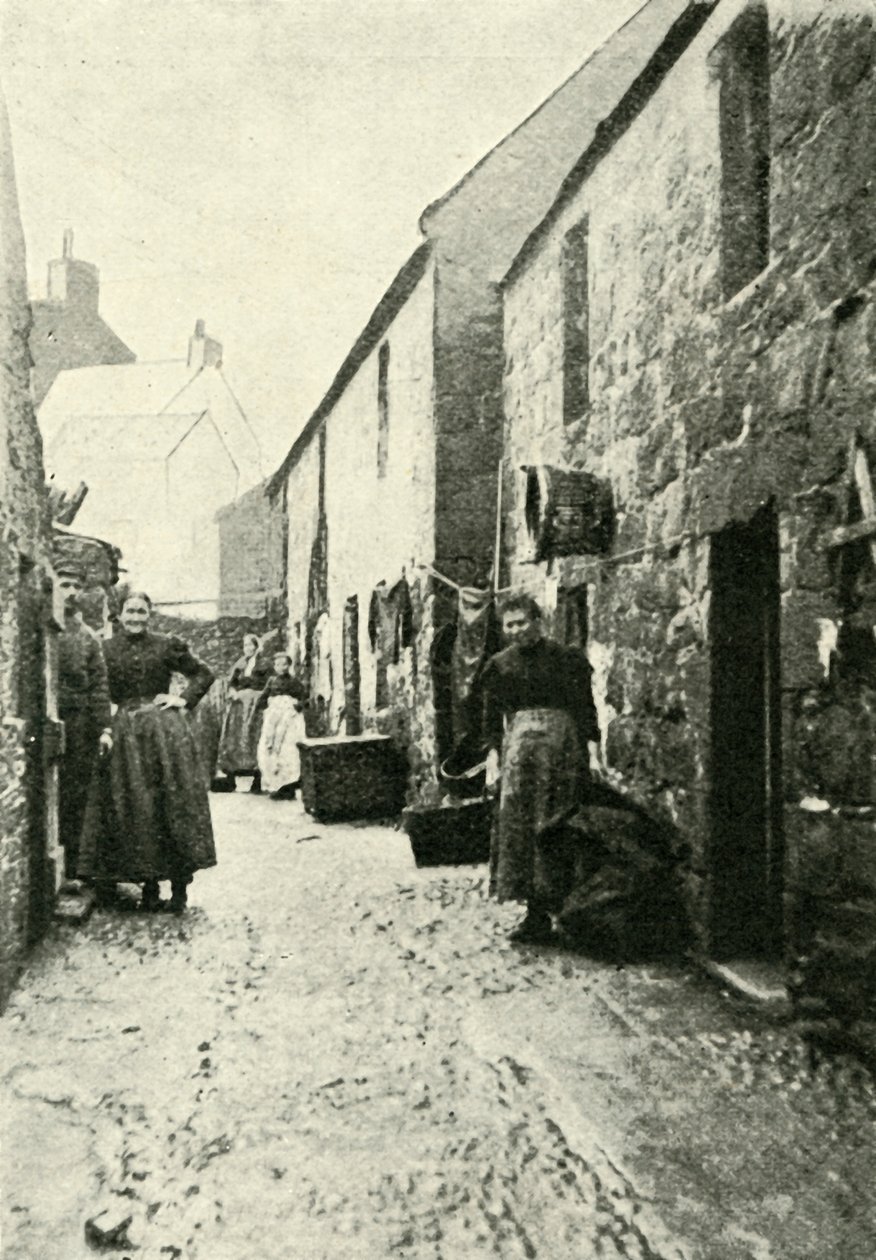 费舍尔·福克斯（Fisher-Folks），1902年。 作者 不明